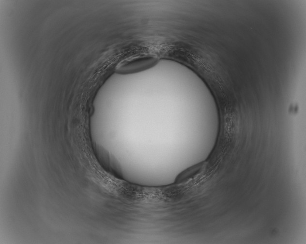 X0000113361249200909221151
