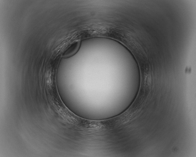 X0000113361250200909221151