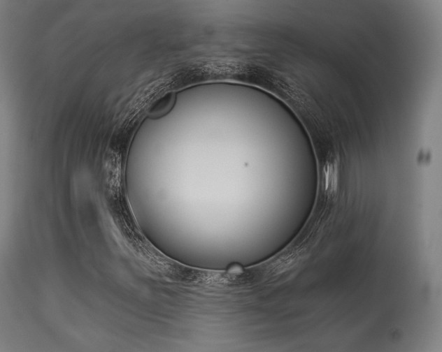 X0000113361251200909221151