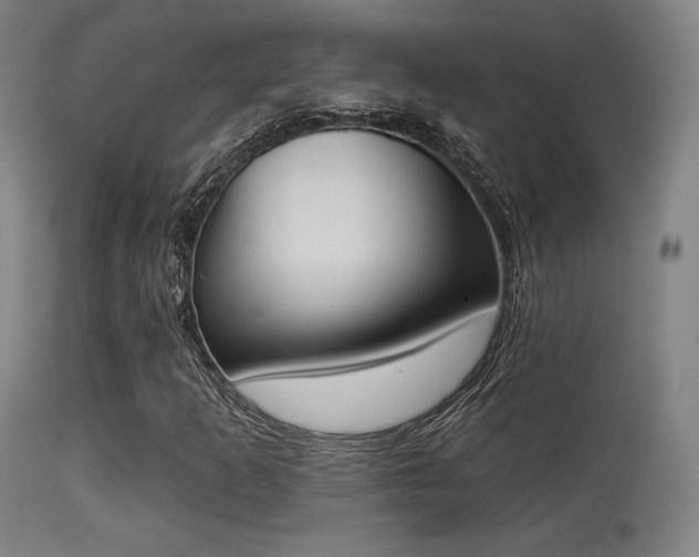 X0000113361253200909221151