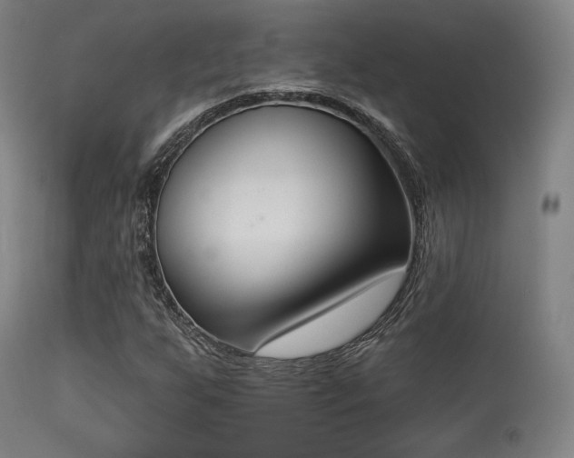 X0000113361255200909221151