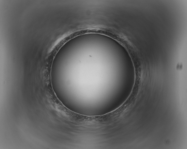 X0000113361256200909221151