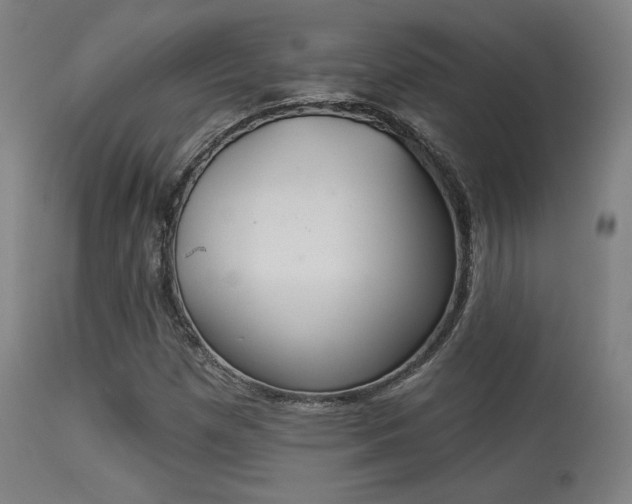 X0000113361257200909221151