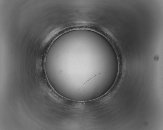X0000113361259200909221150