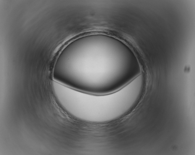 X0000113361260200909221150