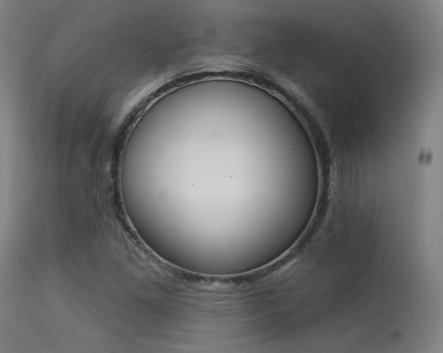 X0000113361261200909221150