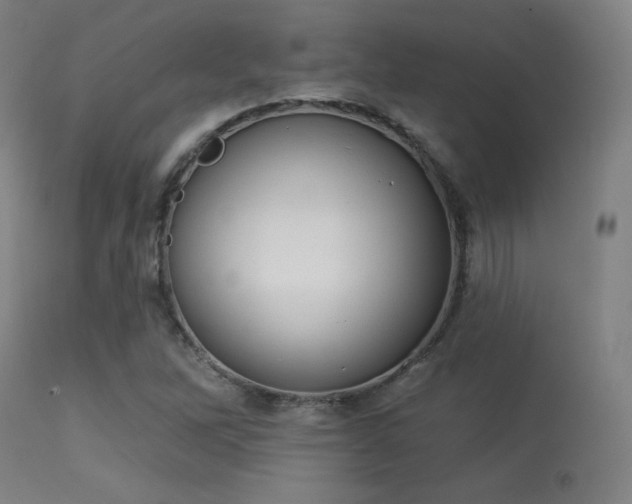 X0000113361262200909221150
