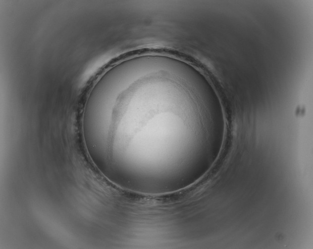 X0000113361263200909221150