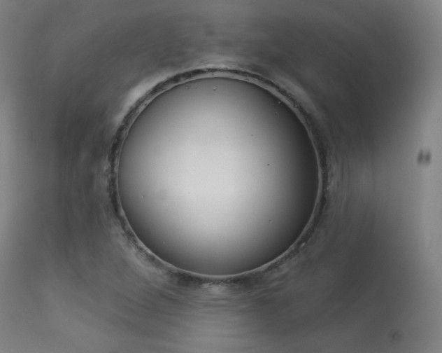 X0000113361264200909221150