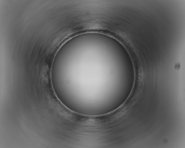 X0000113361265200909221150