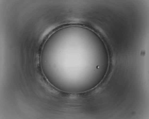 X0000113361267200909221150