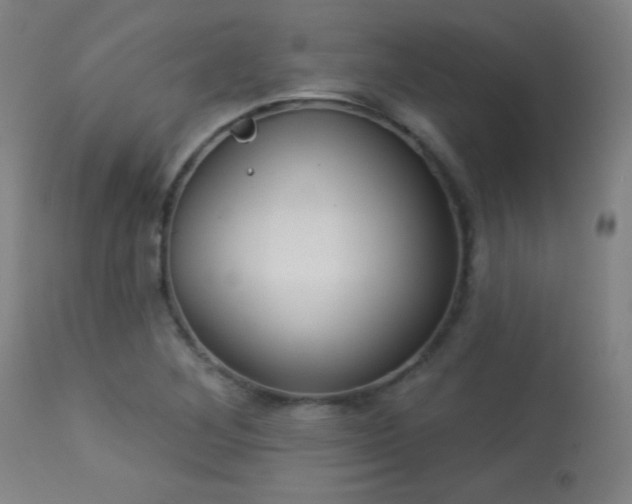 X0000113361268200909221150