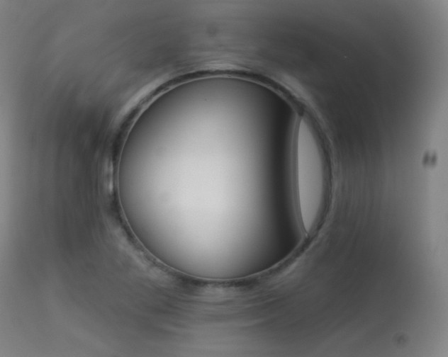X0000113361269200909221150