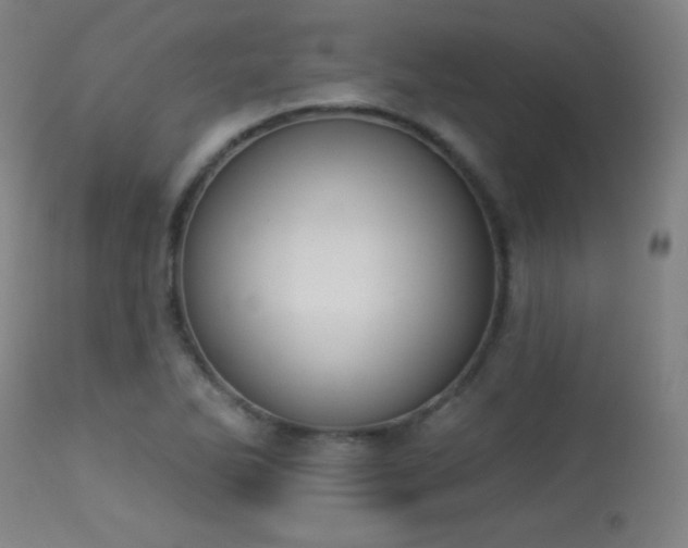 X0000113361270200909221150