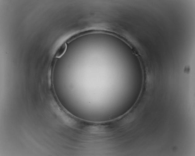 X0000113361272200909221150
