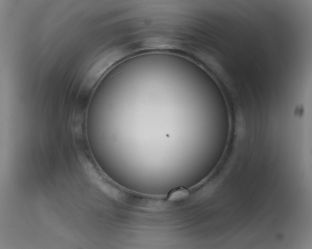 X0000113361273200909221150