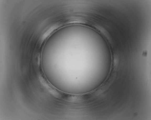 X0000113361274200909221150