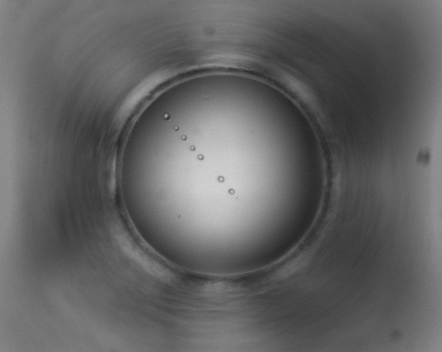 X0000113361275200909221150