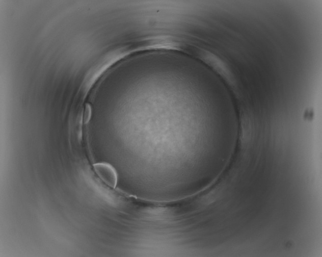 X0000113361276200909221150