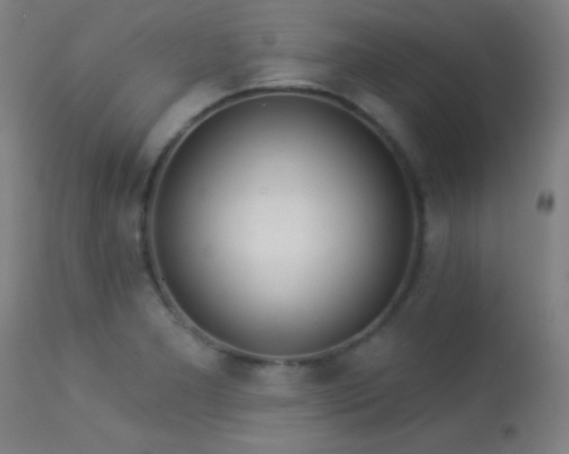 X0000113361277200909221150