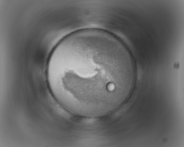 X0000113361278200909221150