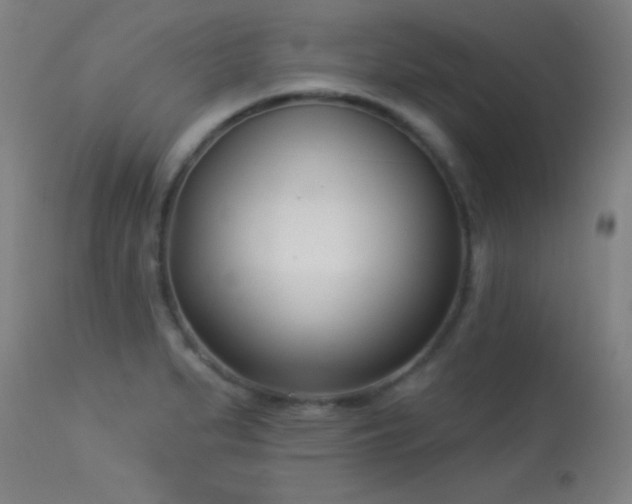 X0000113361279200909221150