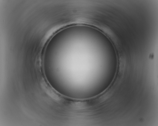X0000113361280200909221150