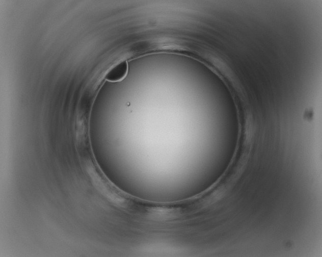 X0000113361281200909221150
