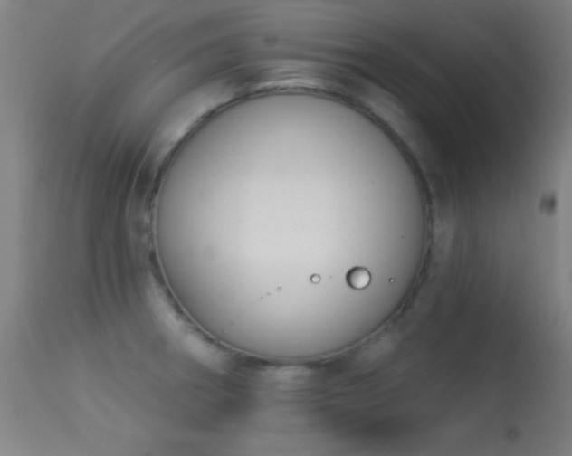X0000113361282200909221150