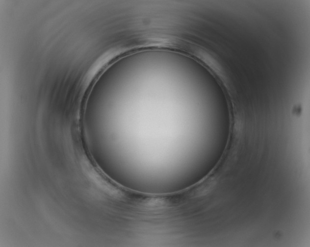 X0000113361283200909221150