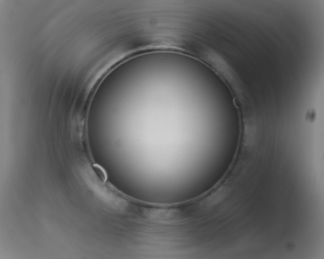 X0000113361284200909221150