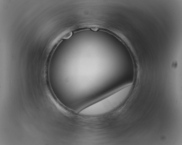 X0000113361285200909221150