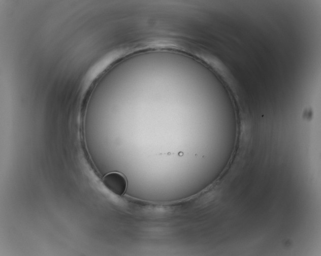 X0000113361286200909221150