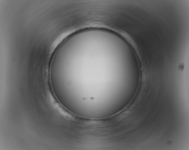 X0000113361287200909221150
