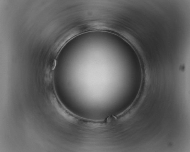 X0000113361289200909221150
