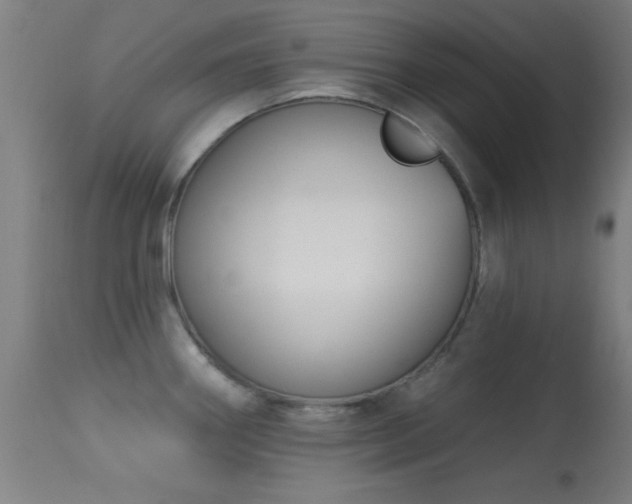 X0000113361290200909221150