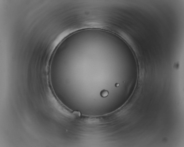 X0000113361291200909221150