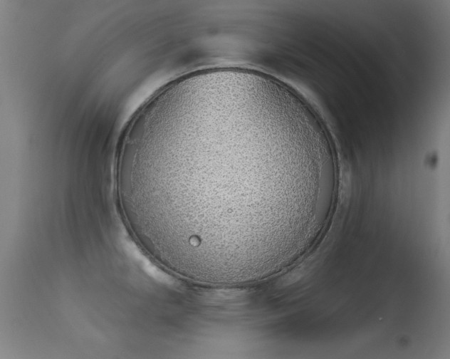 X0000113361294200909221150
