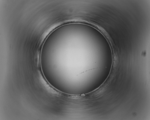 X0000113361295200909221150