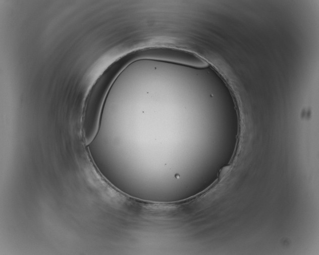 X0000113361296200909221150