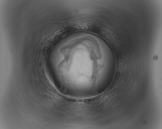 X0000113361297200909221149