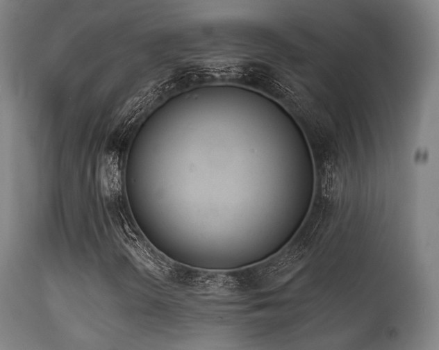 X0000113361298200909221149