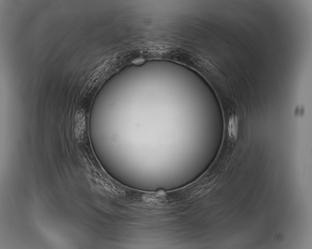 X0000113361299200909221149