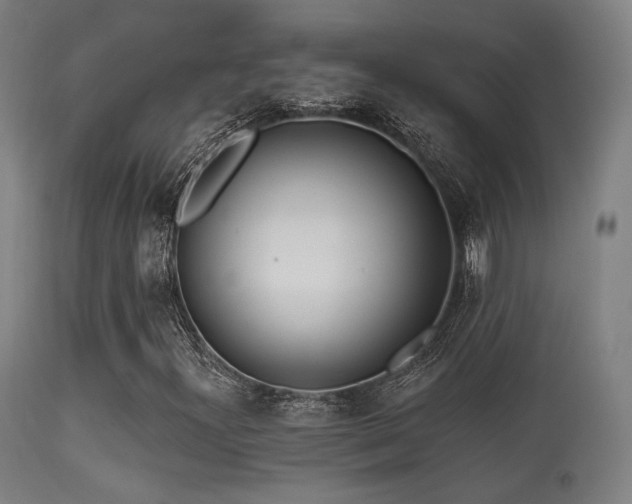X0000113361300200909221149