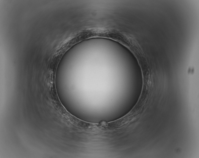 X0000113361301200909221149
