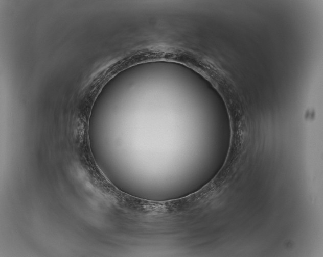 X0000113361302200909221149