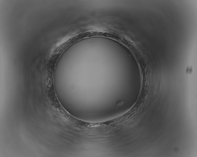 X0000113361303200909221149