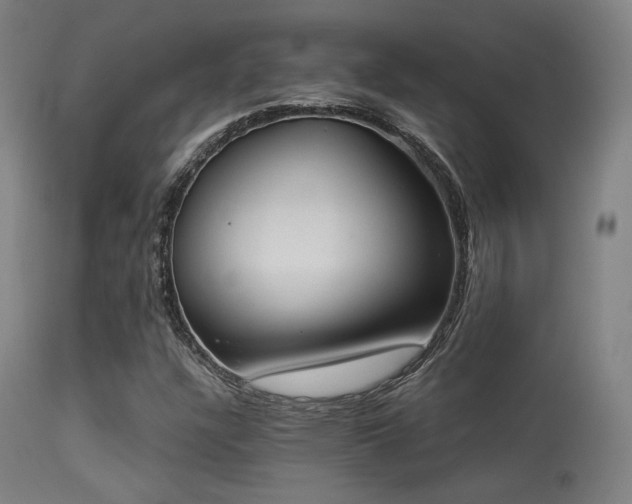 X0000113361304200909221149