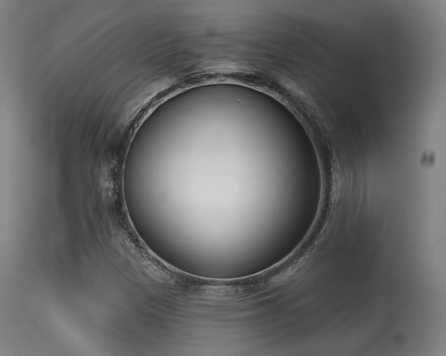 X0000113361305200909221149