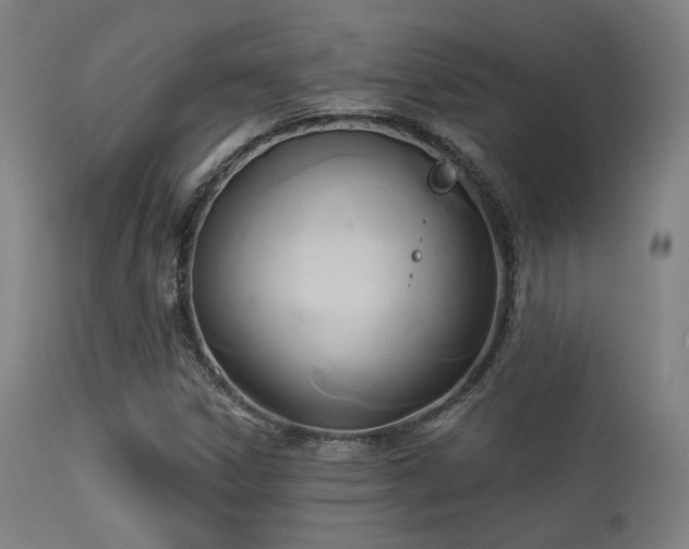 X0000113361306200909221149